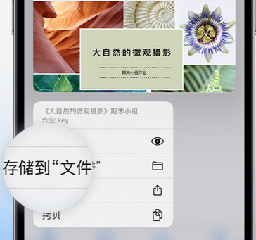 怒江apple维修中心分享iPhone文件应用中存储和找到下载文件