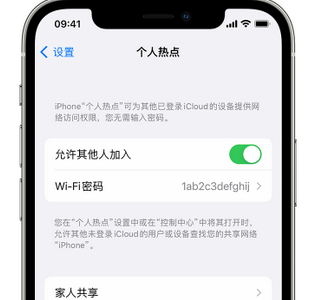 怒江apple服务站点分享iPhone上个人热点丢失了怎么办