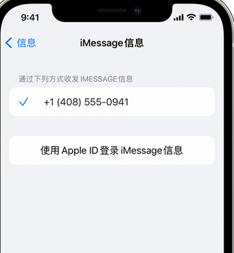 怒江apple维修iPhone上无法正常发送iMessage信息 