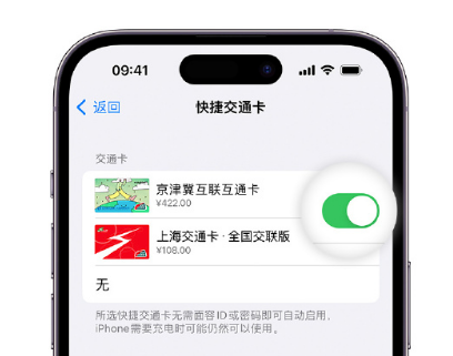 怒江apple维修点分享iPhone上更换Apple Pay快捷交通卡手绘卡面 