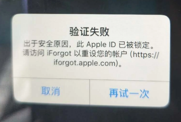 怒江iPhone维修分享iPhone上正常登录或使用AppleID怎么办 