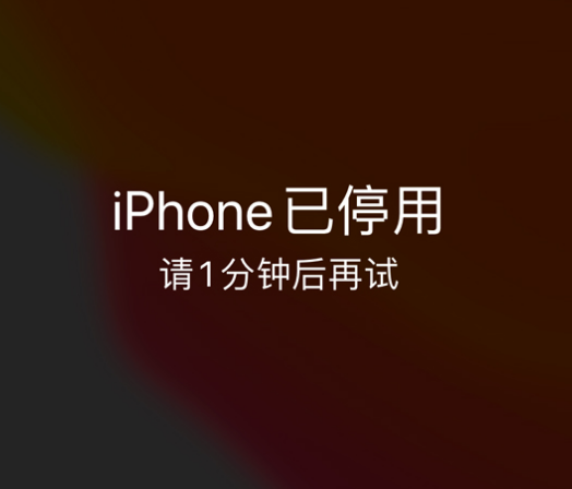 怒江苹果手机维修分享:iPhone 显示“不可用”或“已停用”怎么办？还能保留数据吗？ 