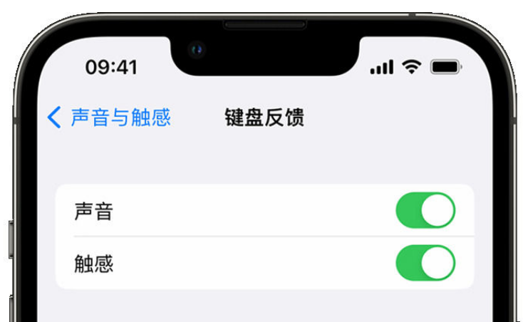 怒江苹果手机维修分享iPhone 14触感键盘使用方法 