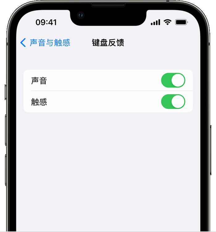 怒江苹果14维修店分享如何在 iPhone 14 机型中使用触感键盘 