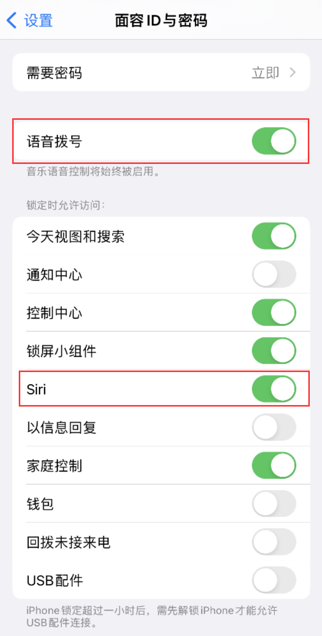 怒江苹果维修网点分享不解锁 iPhone 的情况下通过 Siri 拨打电话的方法 