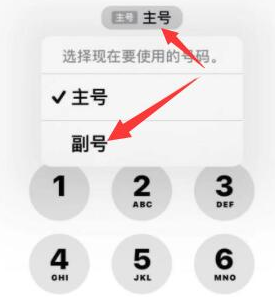 怒江苹果14维修店分享iPhone 14 Pro Max使用副卡打电话的方法 