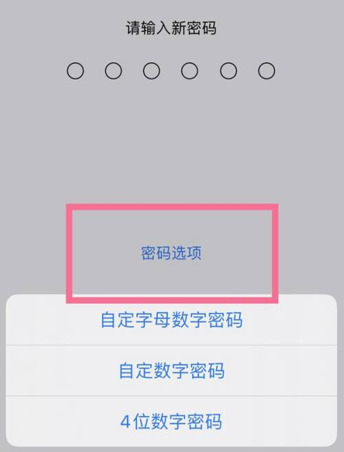 怒江苹果14维修分享iPhone 14plus设置密码的方法 