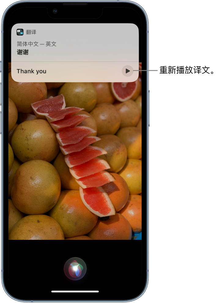 怒江苹果14维修分享 iPhone 14 机型中使用 Siri：了解 Siri 能帮你做什么 