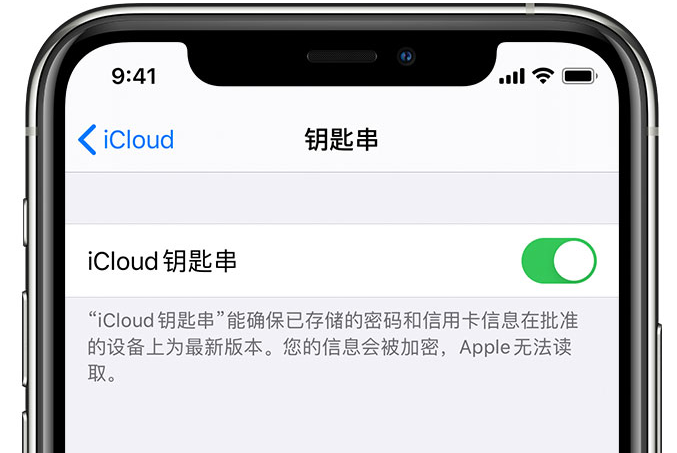 怒江苹果手机维修分享在 iPhone 上开启 iCloud 钥匙串之后会储存哪些信息 