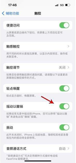 怒江苹果手机维修分享iPhone手机如何设置摇一摇删除文字 